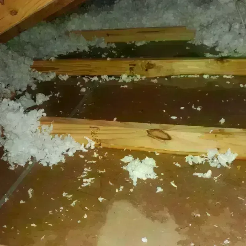 Attic Water Damage in San Juan County, UT