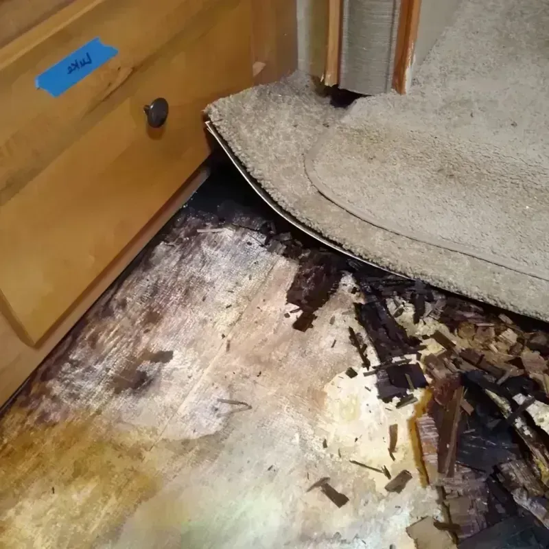 Wood Floor Water Damage in San Juan County, UT